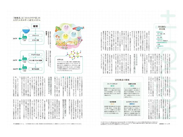 ミトコンドリア,ガン,水素